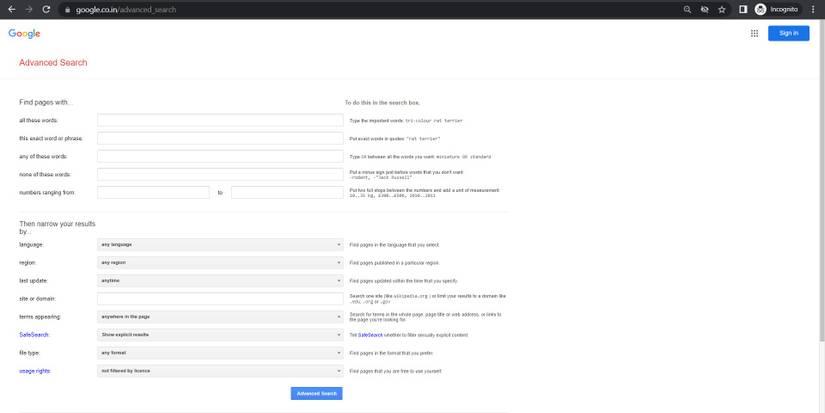 Google advanced search