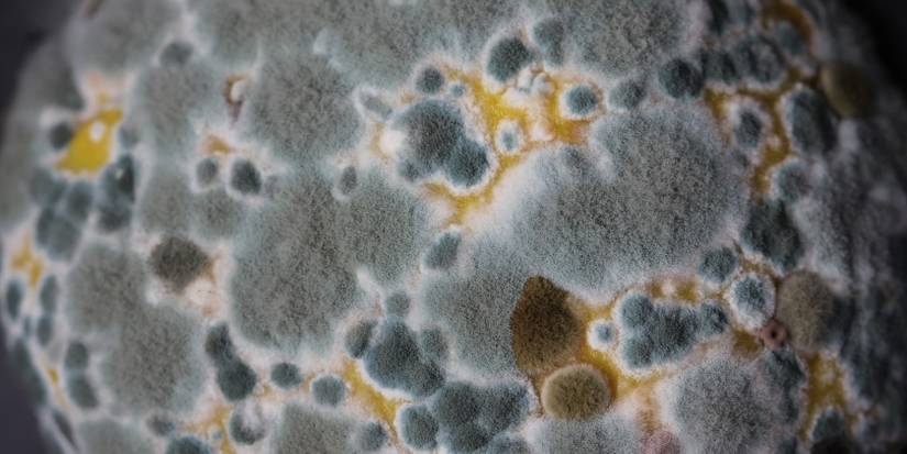 No, Rice Doesn't Fix Water Damage—Here's What You Should Actually Do