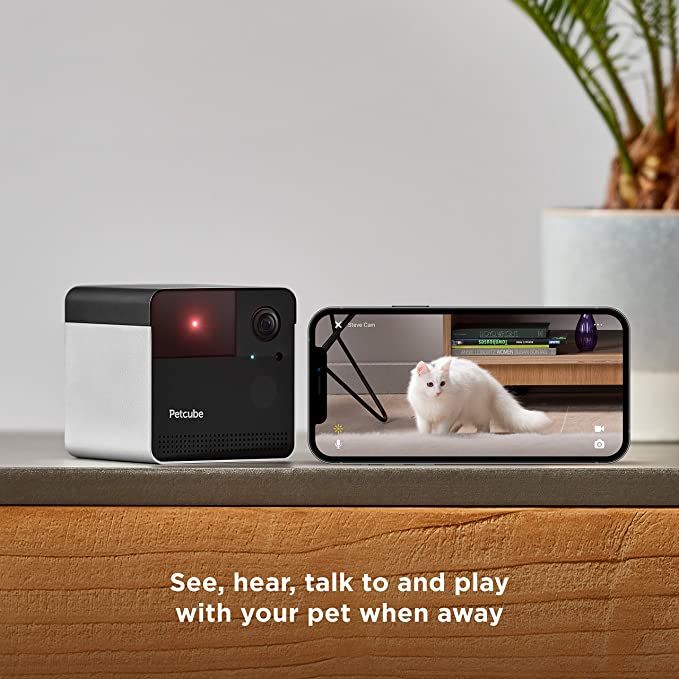 Petcube ببینید و بشنوید