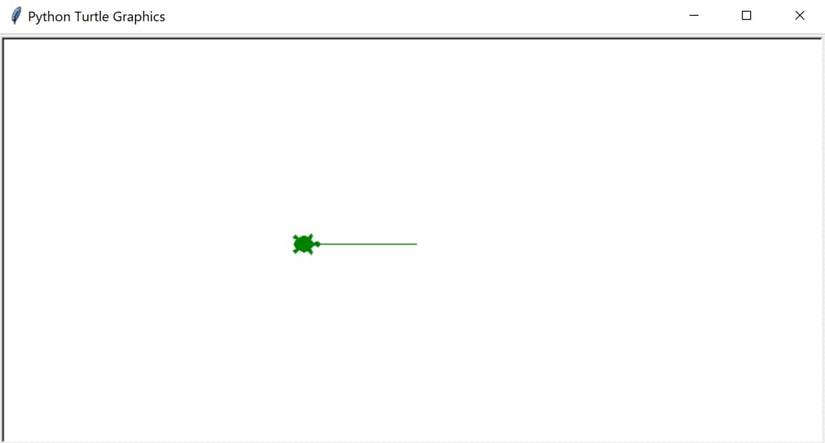 What Are Turtles in Python and How Do They Work?