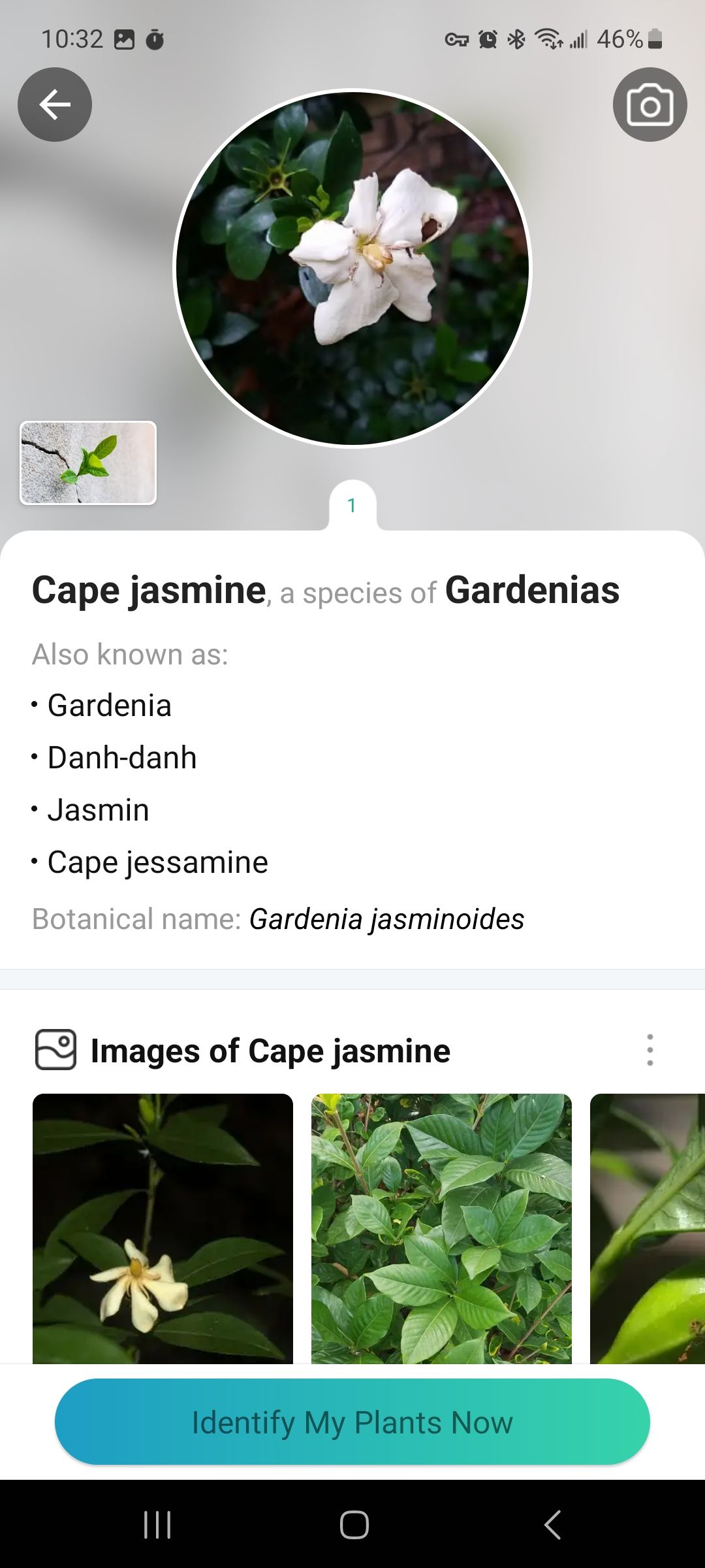 Capture d'écran de la page de détails de la plante
