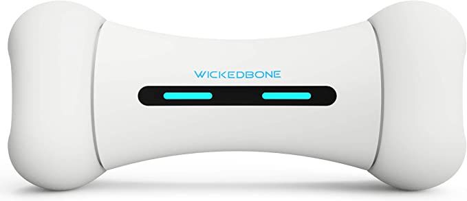 اسباب بازی هوشمند Wickedbone