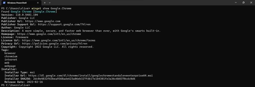 How to Use the Windows Package Manager on Windows 11