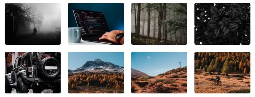 The 15 Best Sites for Free High-Resolution Stock Images