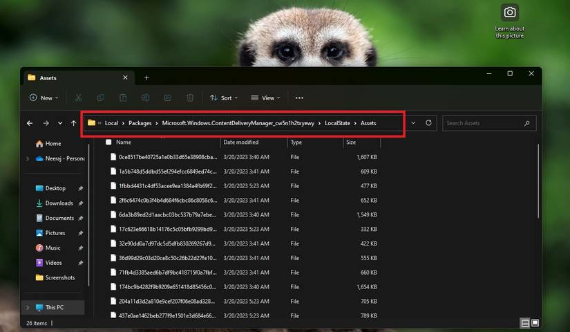 Windows Explorer Asset How to Save Windows Spotlight Pictures to Use as Wallpapers When You Want