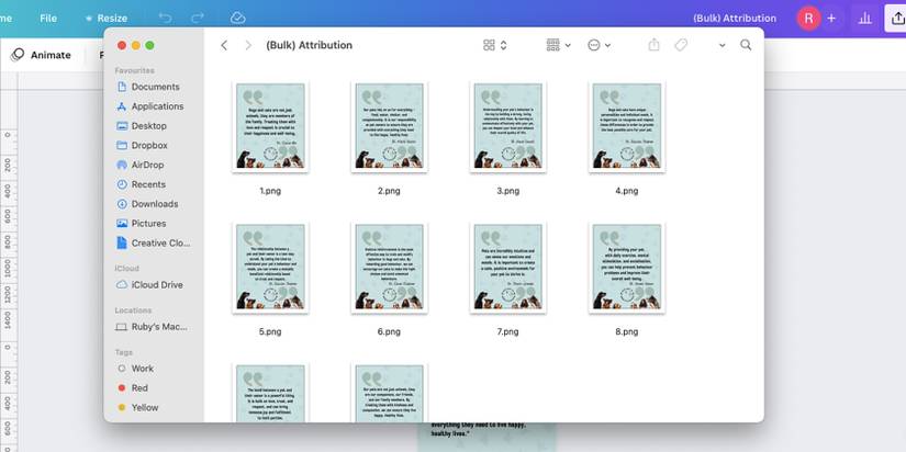 Bulk Create Screen How to Use Canva and ChatGPT to Bulk Create Content Designs