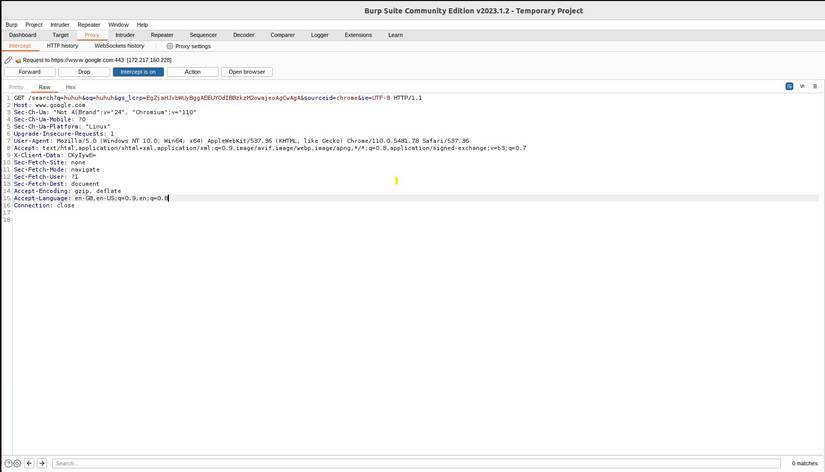 Burp Project How to Install and Set Up Burp Suite on Linux