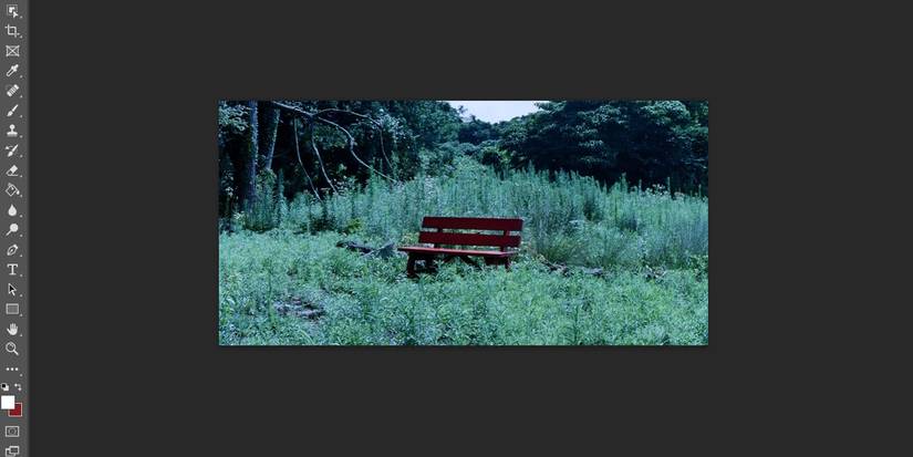 How to Develop Negative Film in Photoshop
