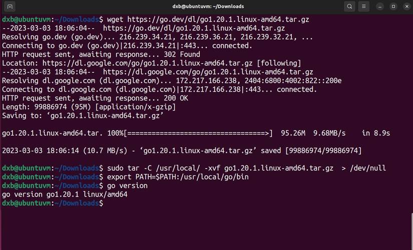 How to Set Up a Go Development Environment on Linux