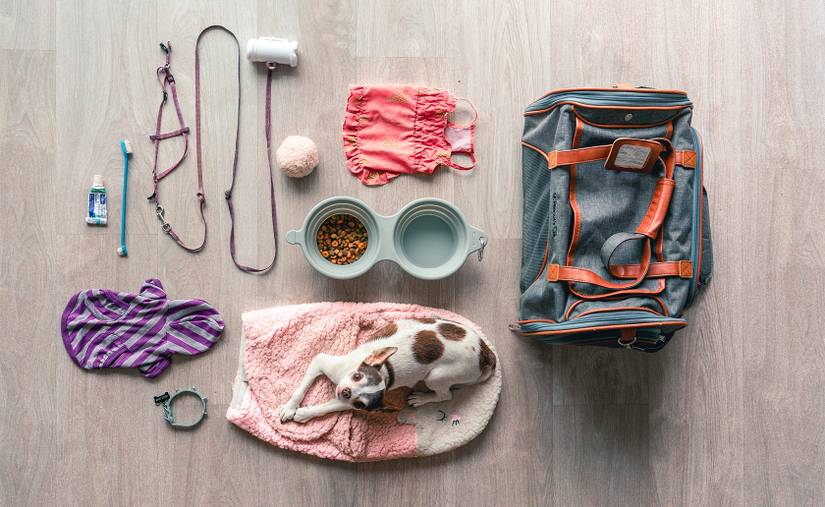 9 Creative Prop Ideas for Product Photography (and When to Use Each One)