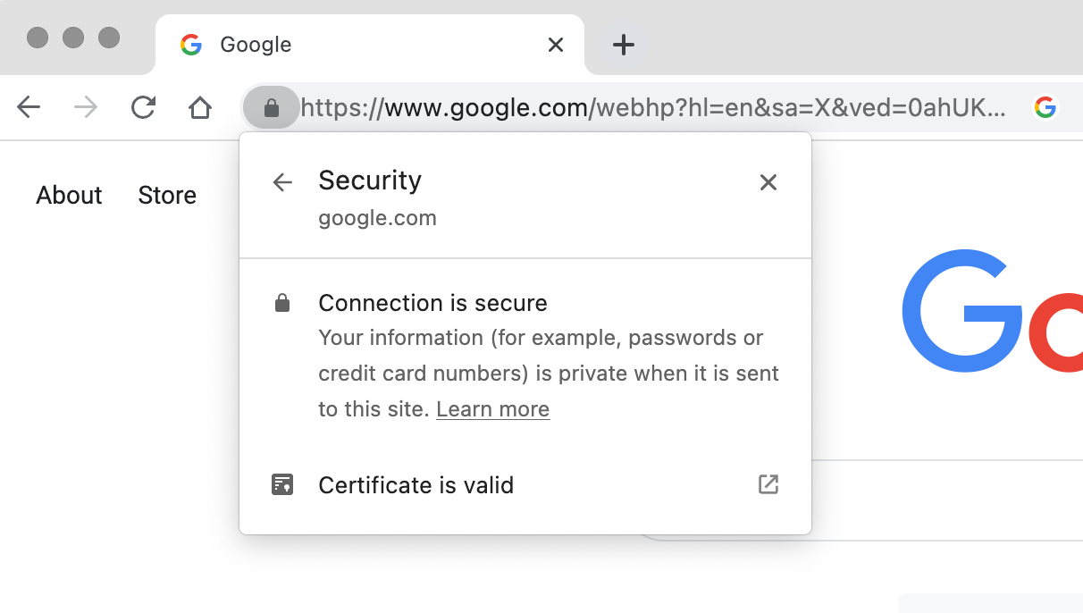 screenshot-of-google-url-protocol.png?q\