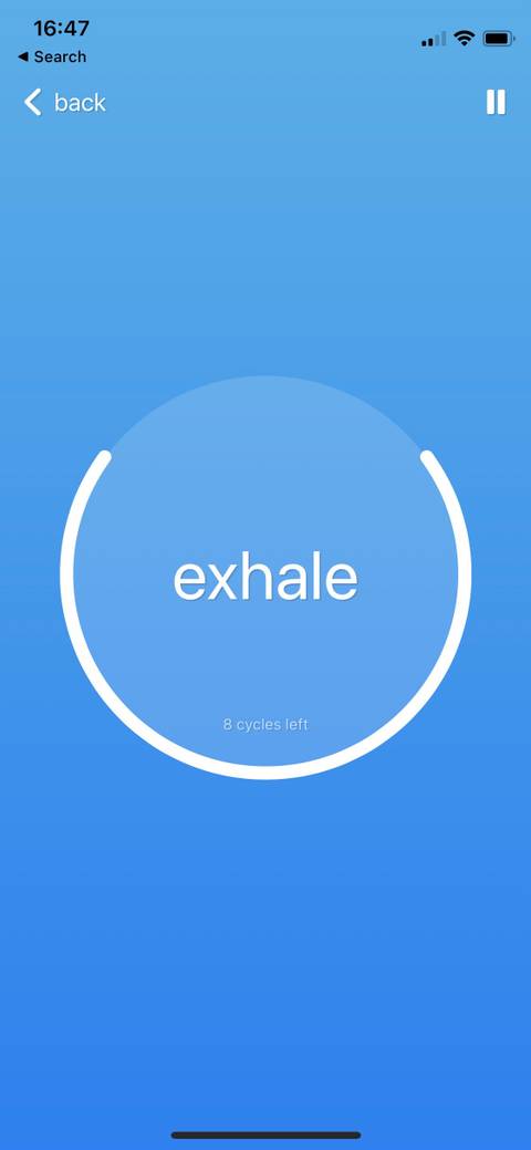 The 10 Best Free Wellness Apps for iPhone and Apple Watch Users