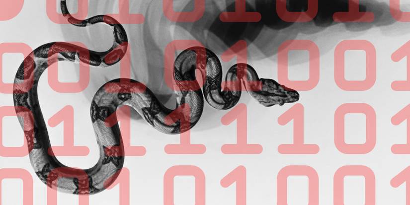 Snake Keylogger Malware Removal Guide