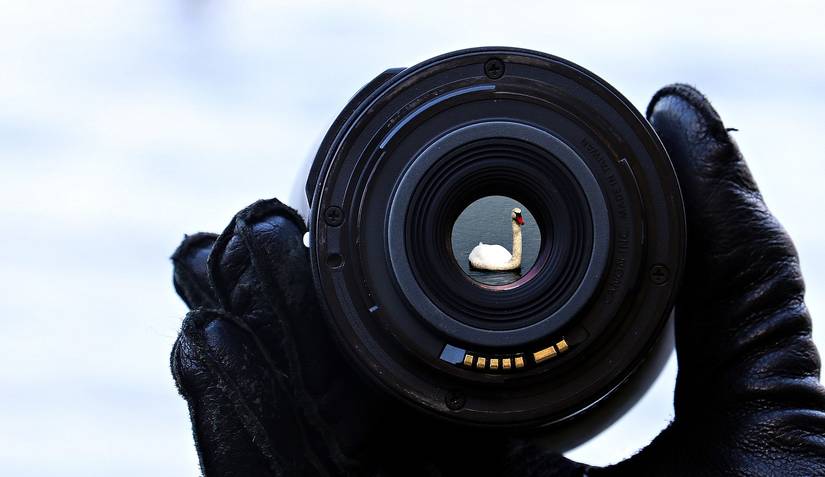 What Is Frame Within a Frame Photography and How Do You Use It?