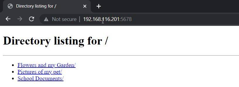 How to Transfer Files on a Network Using a Python Server on Windows