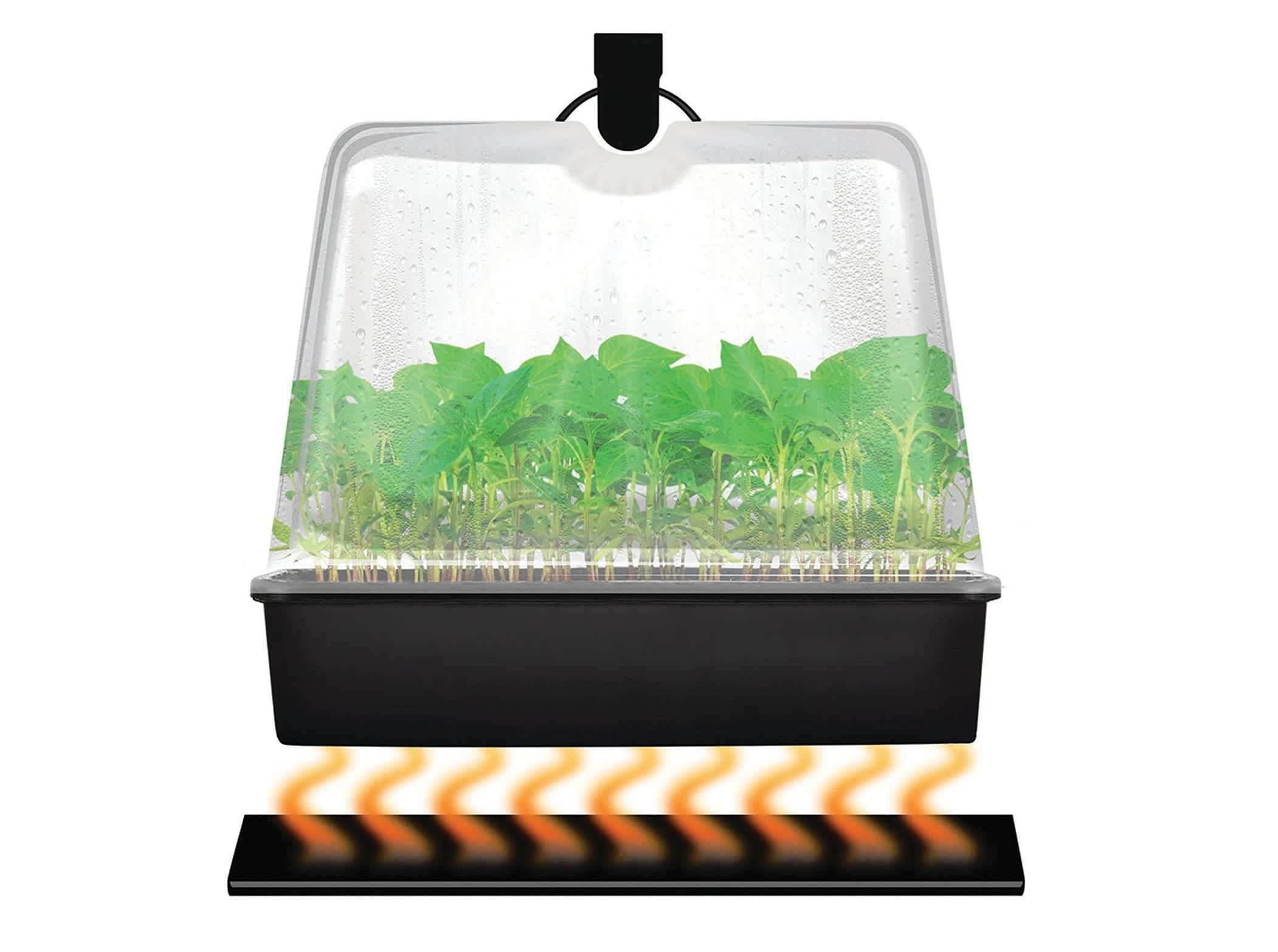 the super sprouter premium heated propagation kit heated seedlings