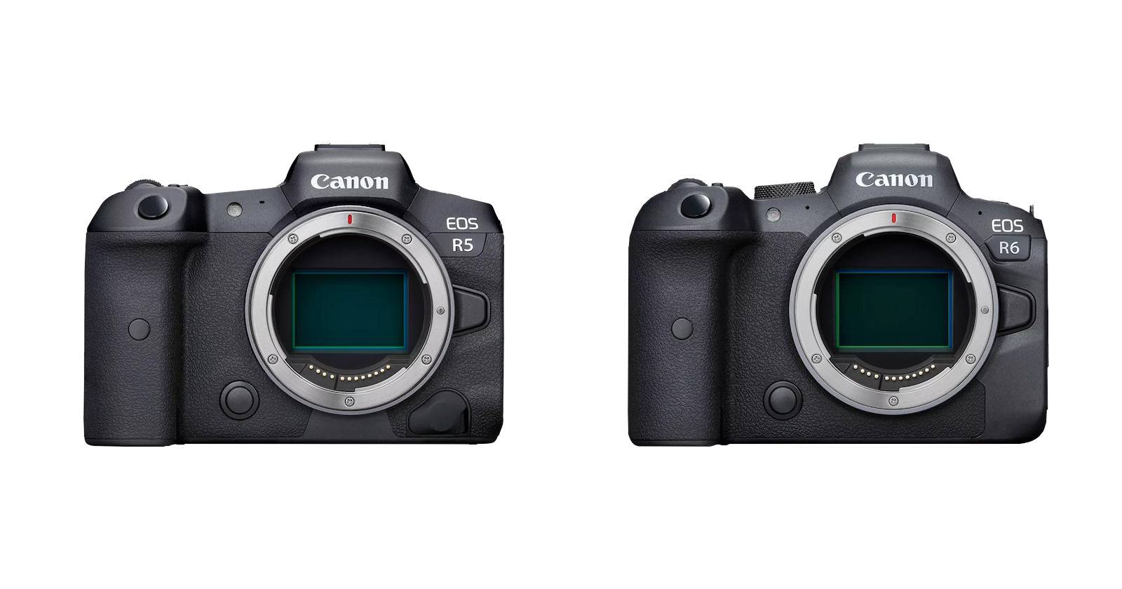 Canon R5 vs. R6: What Are the Differences and Which Is Better?