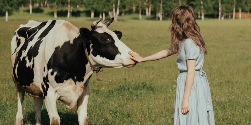 Cow-encryptor Turns Your Secret Documents Into a Series of Moos