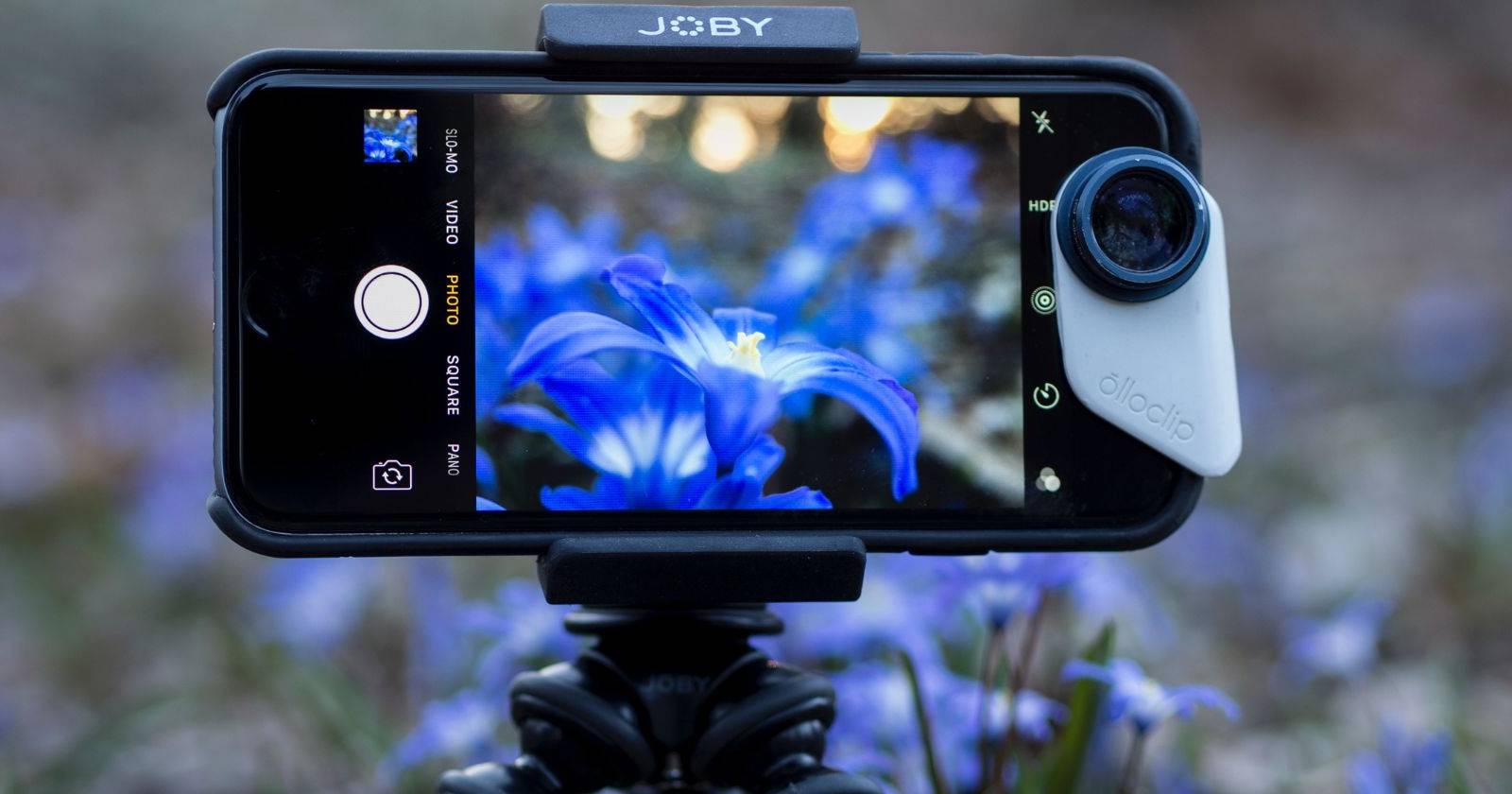 2 Ways to Take Macro Photos on an iPhone Without Macro Support