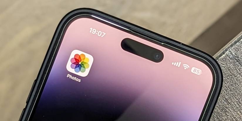 Photos app on an iPhone Home Screen