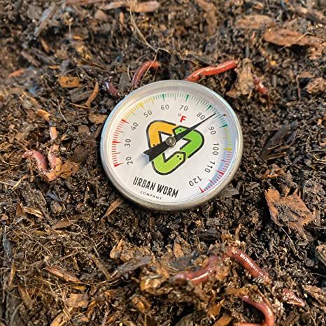 Urban Worm Soil Thermometer with worm