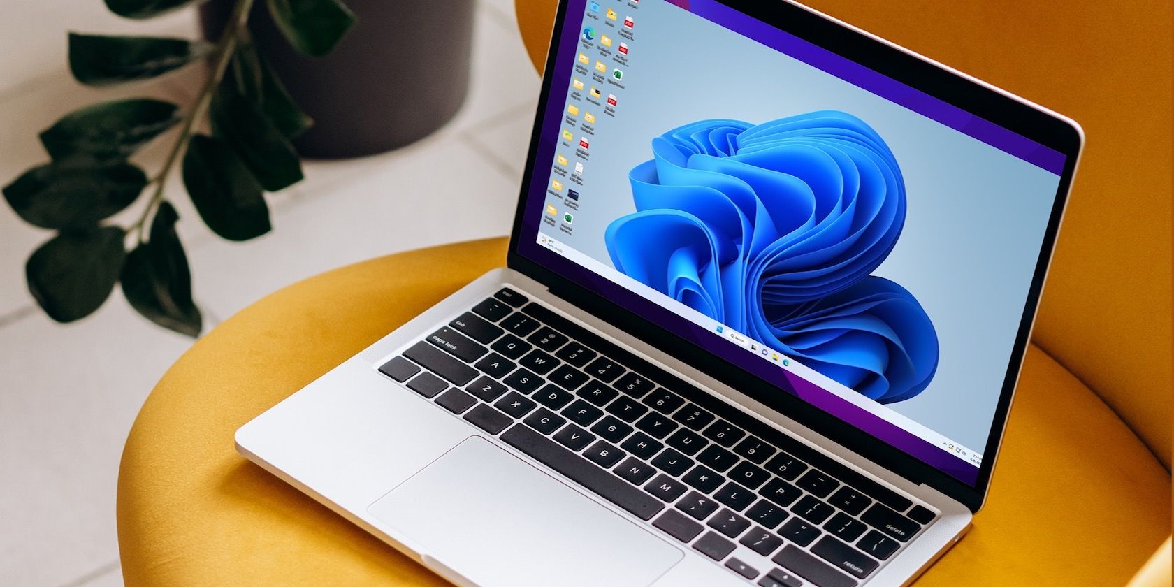 6 Reasons to Run Windows 11 on Your Mac