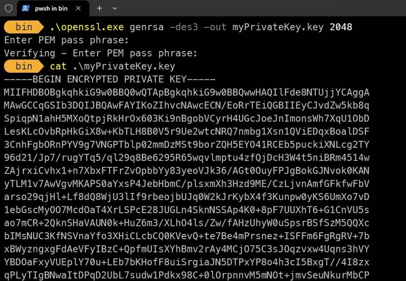 How to Create a Self-Signed Certificate With OpenSSL