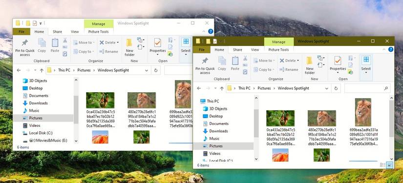 Duplicate Folder Window Created