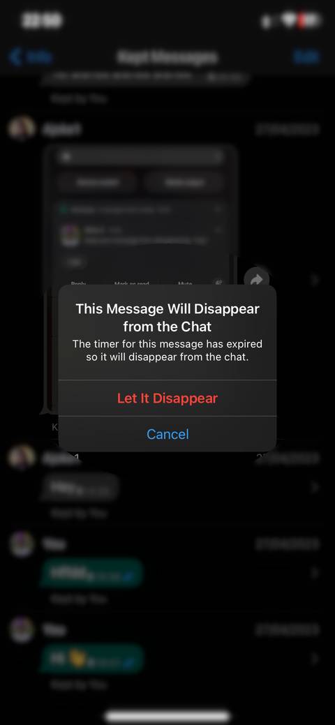 How to Save Disappearing Messages on WhatsApp