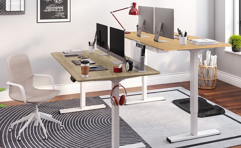 two flexispot ec1 standing desks positioned back to back in an office