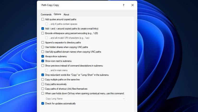 6 Ways to Copy File and Folder Paths in Windows 11