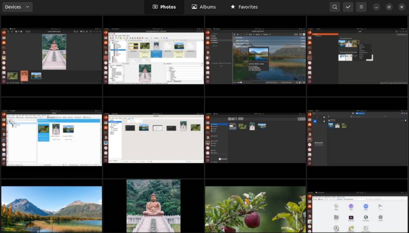 The 10 Best Free Photo Management, Organizer, and Gallery Apps for Linux
