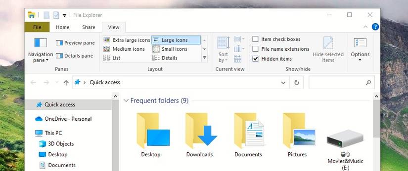 Hidden Items Checkbox Ticked in View Tab