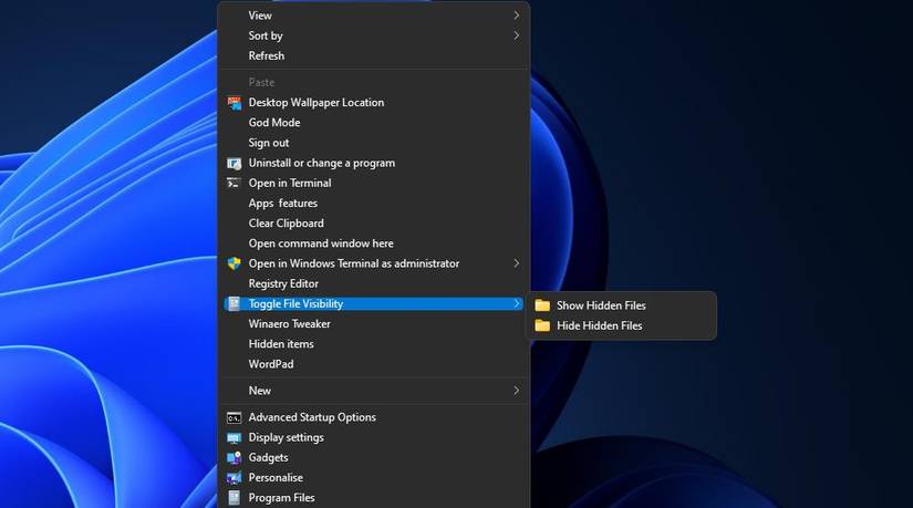 How to Add a Hidden Items Context Menu Option in Windows 10 & 11