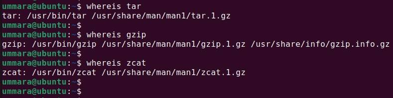 which vs. whereis vs. whatis in Linux: What Are the Differences?