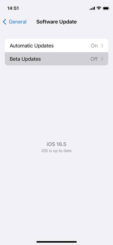 2. Beta Updates option in iPhone Software Update settings