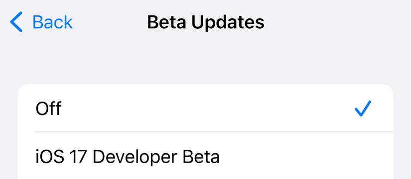 5. Beta Updates Off option on iPhone