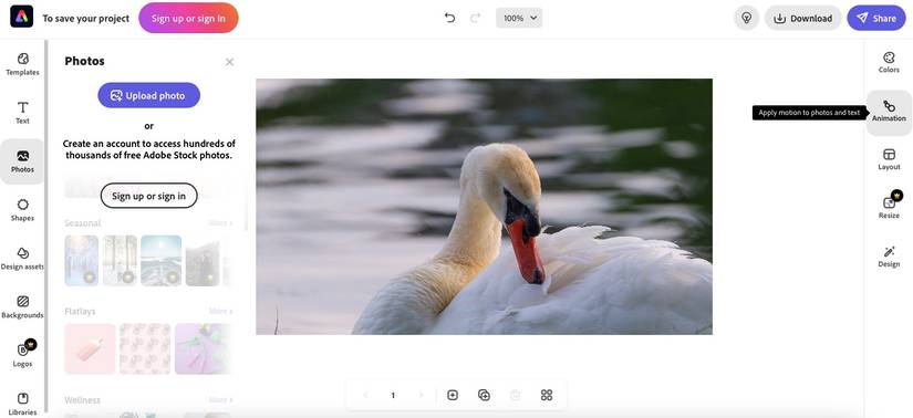 How to Animate Still Images Online: 6 Ways