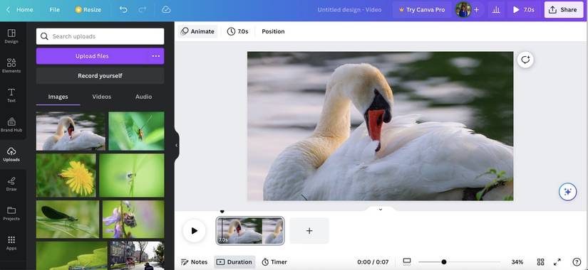 How to Animate Still Images Online: 6 Ways