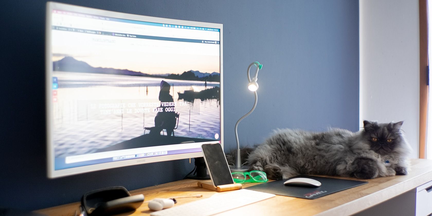 Some Known Details About Central Garden & Pet - Home - Consumer & Professional Products  thumbnail