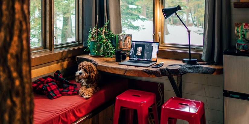 Veterinary Software Built To Reclaim Time And Connect With Clients Things To Know Before You Get This thumbnail