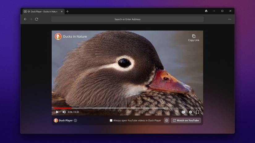 How to Use DuckDuckGo's Browser on Windows