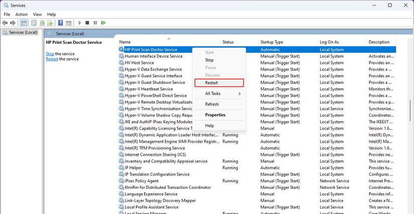 How to Fix Your HP Printer Not Working on Windows 11