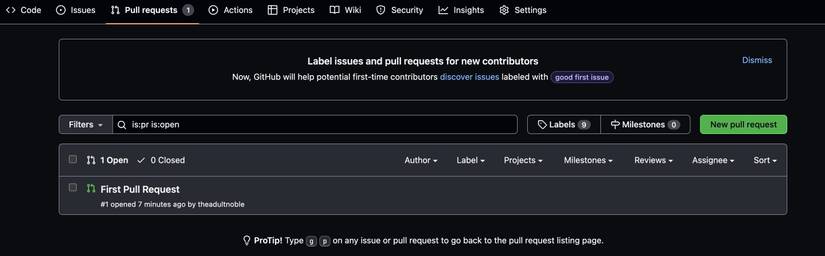 How to Handle GitHub Source and Version Control From Xcode
