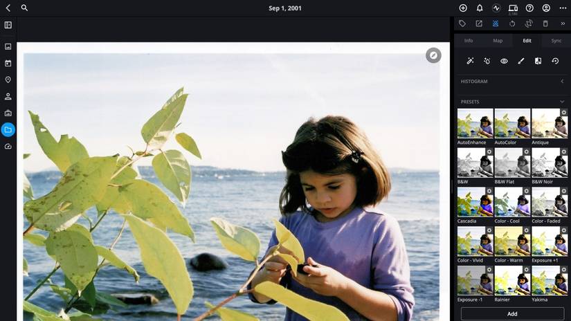 Mylio Photos: Your Digital Treasure Trove of Memories