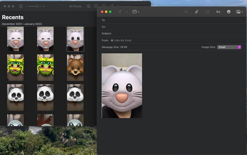 7 Tips and Tricks to Master the Photos App on Your Mac