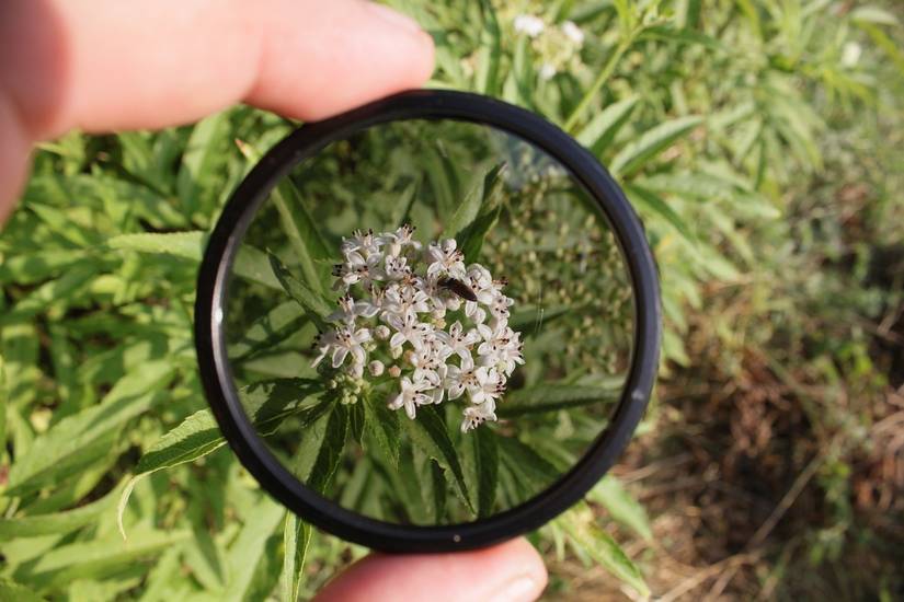 ND Filter vs. Polarizer: When to Use Each One for Better Photos
