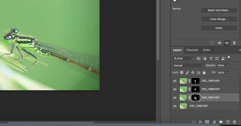 How to Manually Focus Stack Your Images in Photoshop