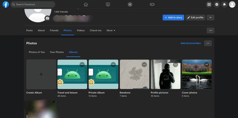 Facebook's album page