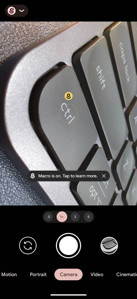 How to Use the Google Pixel’s Macro Focus Feature